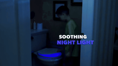 LED Toilet Night Light