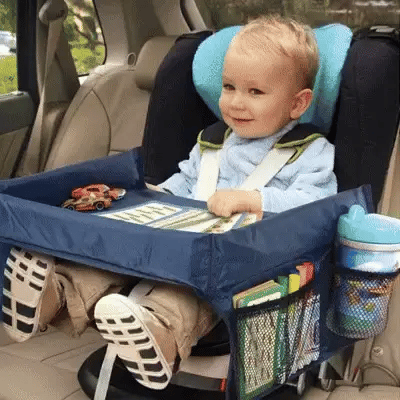 Snack & Play Travel Seat