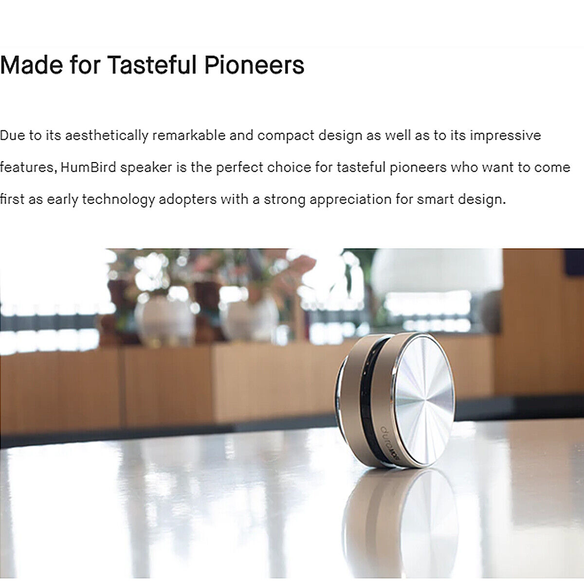 Hummingbird Sound Box