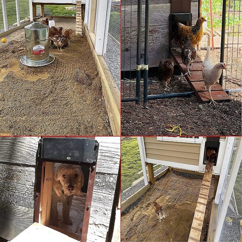 Automatic Chicken Coop Door Opener - Chicken Coop With Light Sensor