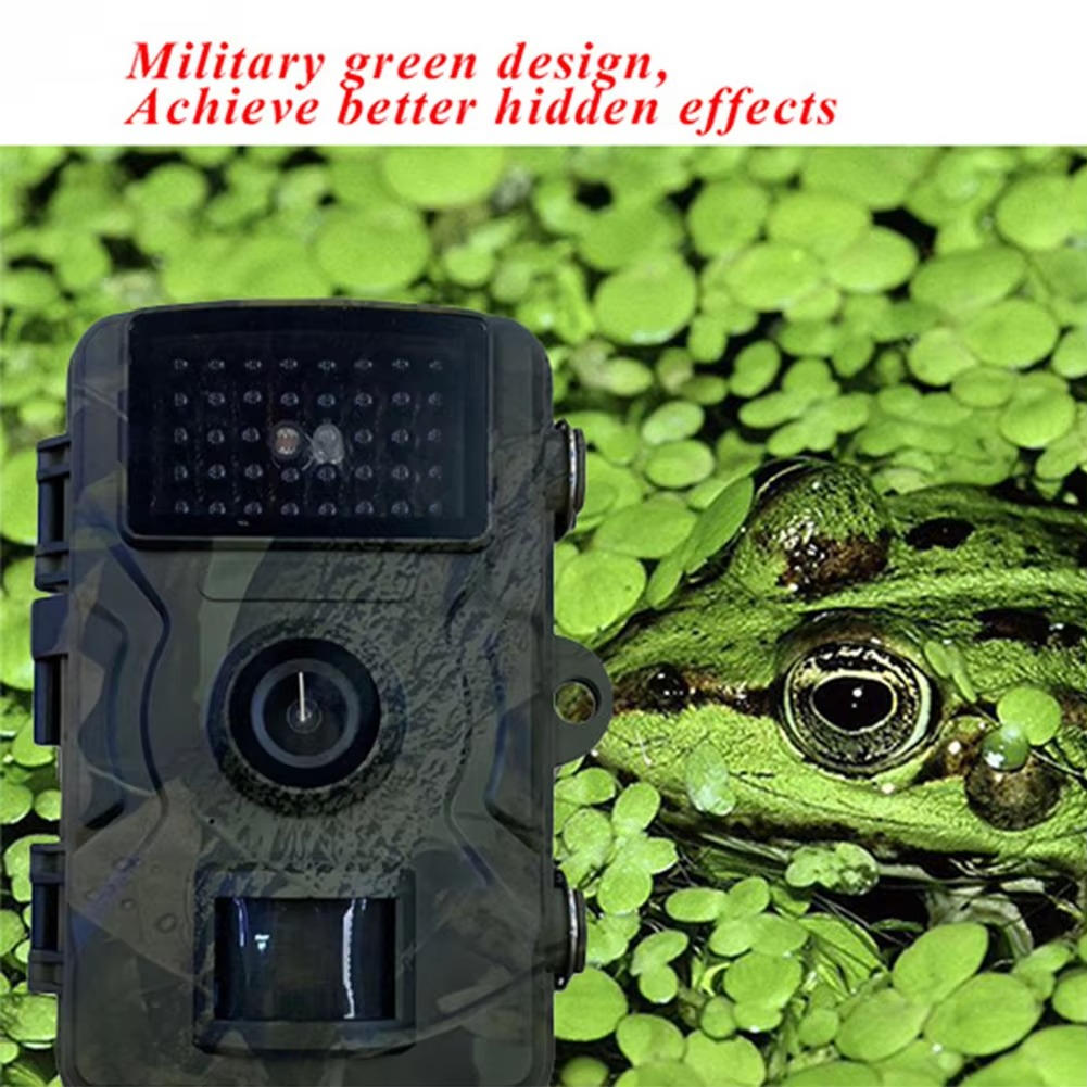 Night Vision Outdoor Wildlife Animal Camera