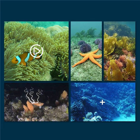 RC Submarine with Camera