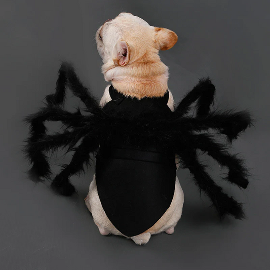 Pet Funny Spider Costume