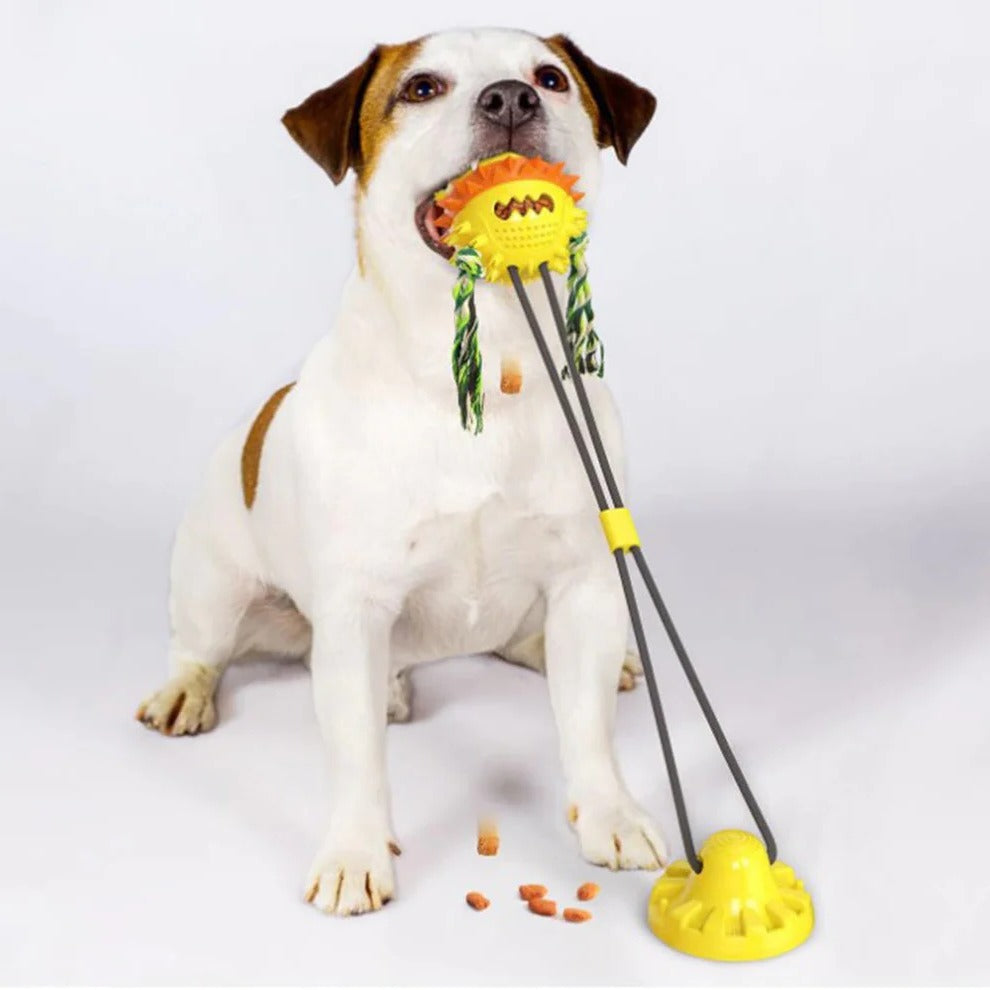 Interactive Self-Playing Pet Toy