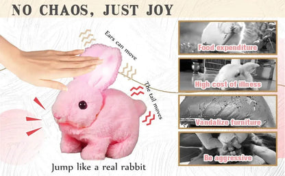 New Arrival Bunny Toy