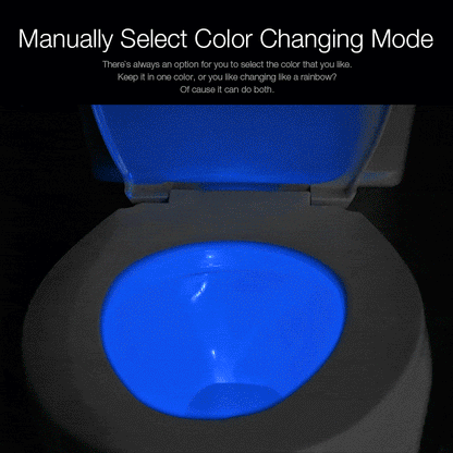 LED Toilet Night Light