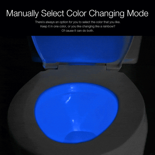 LED Toilet Night Light