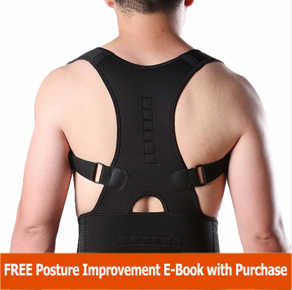 Complete Back Care Brace