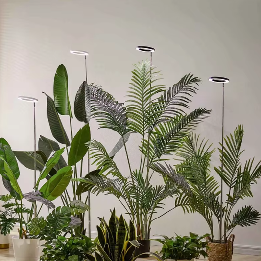 Grow Light For Indoor Plants