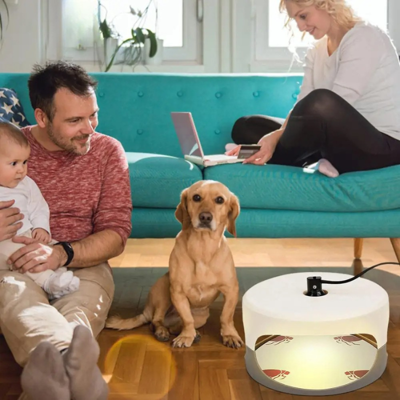 Indoor Bed Bug Trap and Catcher with Sticky Pads