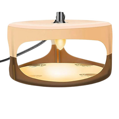 Indoor Bed Bug Trap and Catcher with Sticky Pads