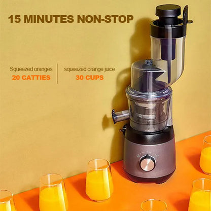 Automatic Juicer - Juicer Household Residue for Fruits and Vegetables