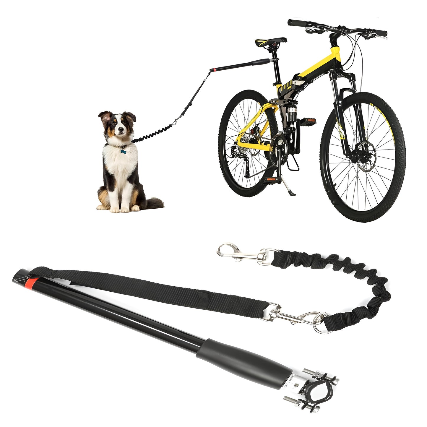 Bike Dog Tow Leash