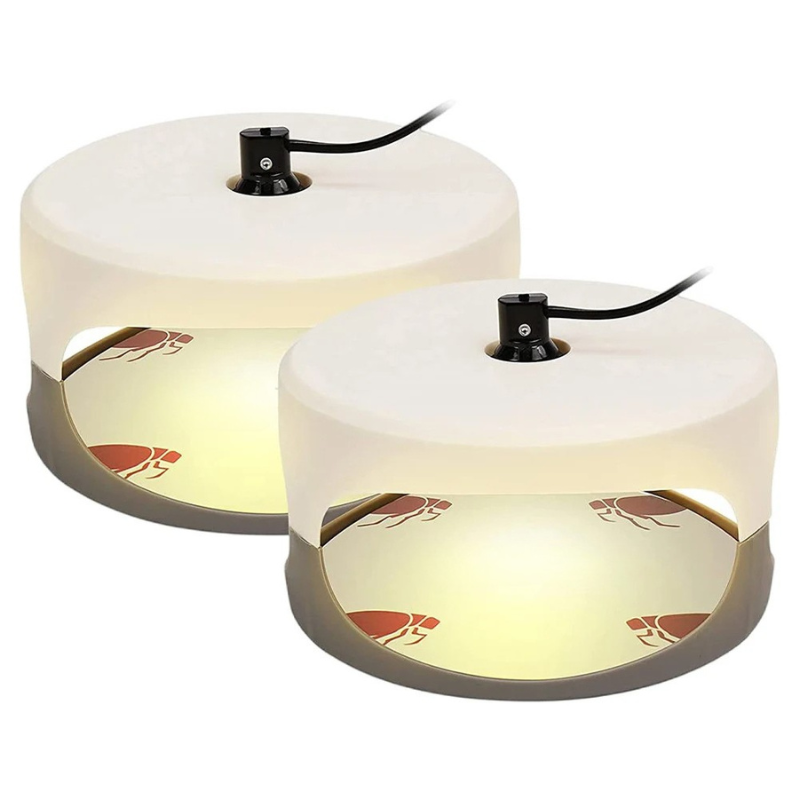 Indoor Bed Bug Trap and Catcher with Sticky Pads