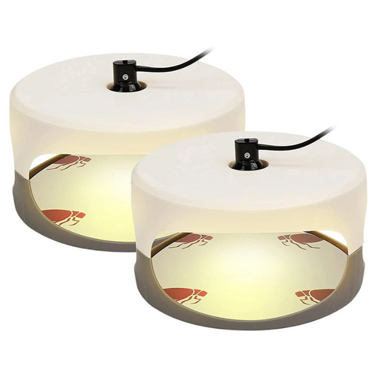 Indoor Bed Bug Trap and Catcher with Sticky Pads