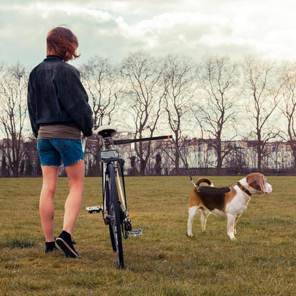 Bike Dog Tow Leash
