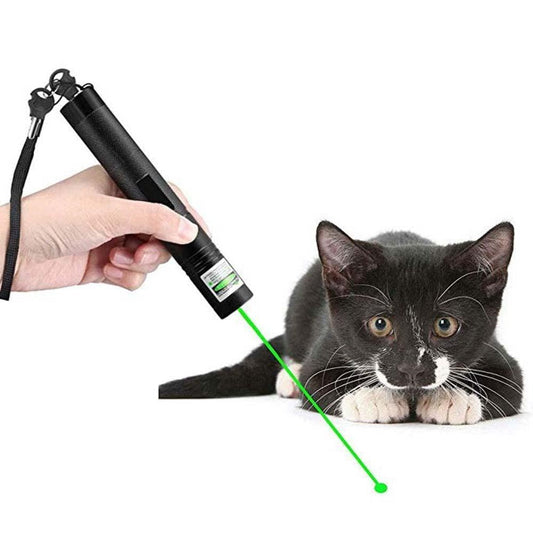 High-Performance Laser Pointer
