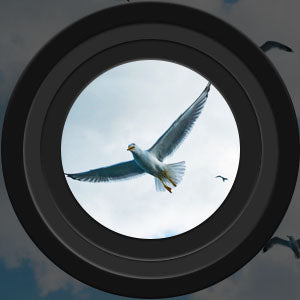 Long-range night vision binoculars