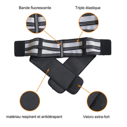 Lumbar Support Belt
