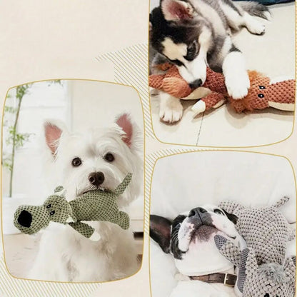 Durable Dog Toy For Strong Teeth