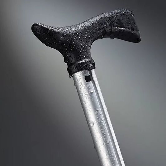 Walking stick with seat