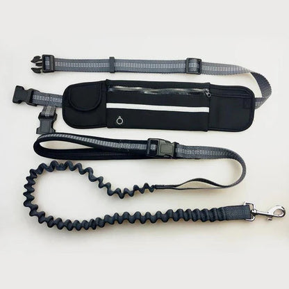 Leash with waist belt for dogs