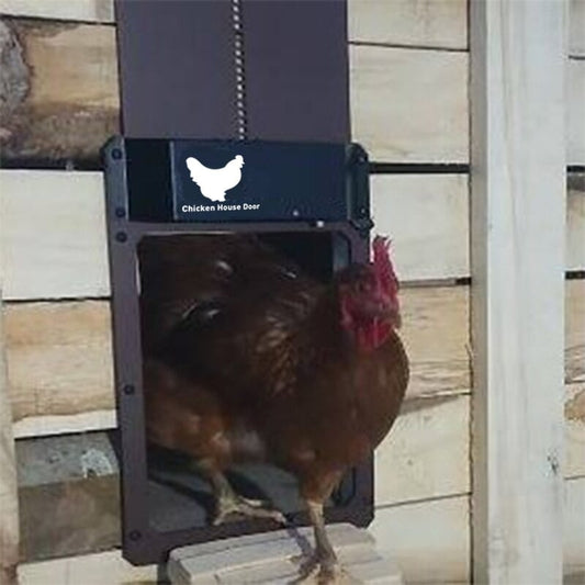 Automatic Chicken Coop Door Opener - Chicken Coop With Light Sensor