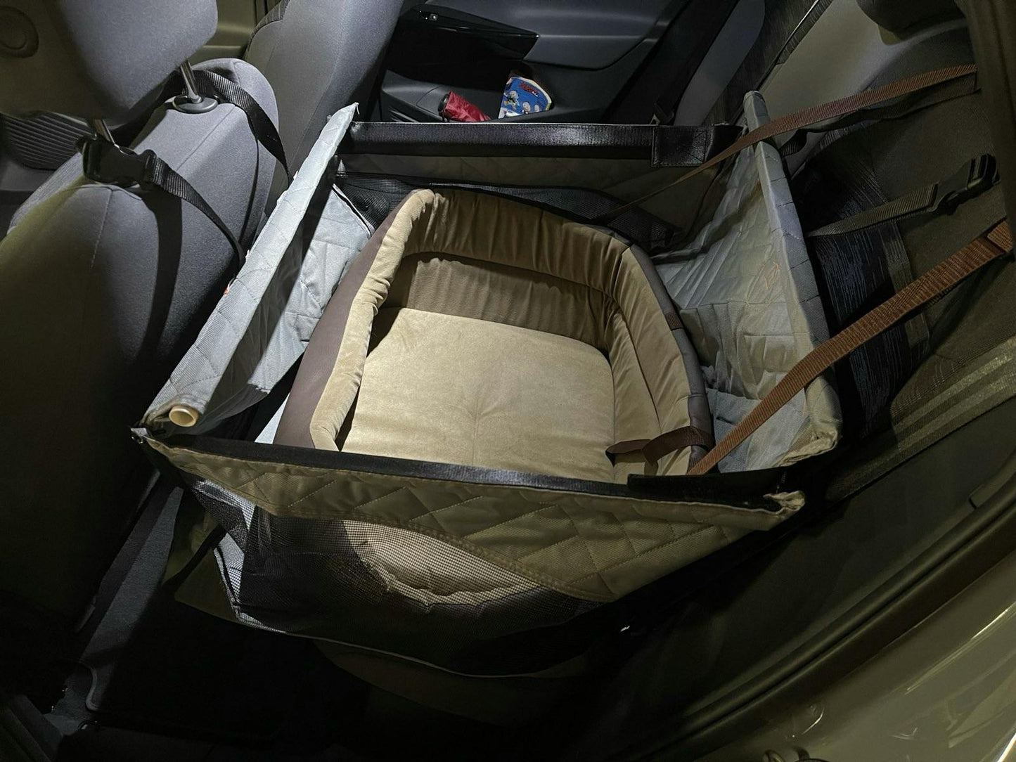 Dogs Hard Floor Single Seat