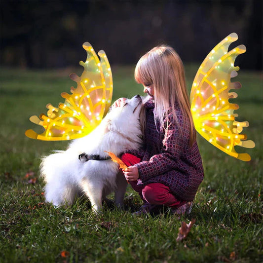Electric Colorful Kids / Adults LED Fairy Wings Costume