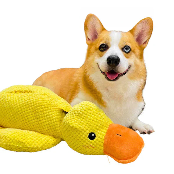 Calming Durable Duck