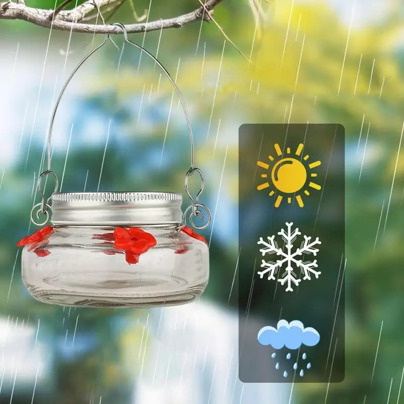 Clear Flower Port Hummingbird Feeder