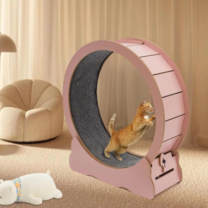 Cat Exercise Wheel
