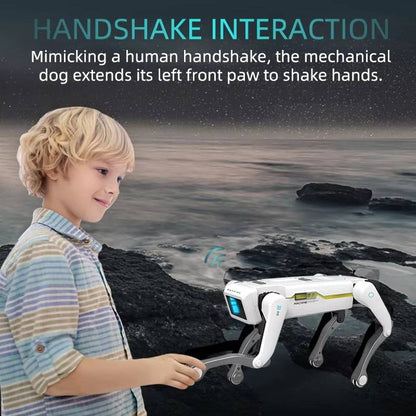 RC Robot Dog