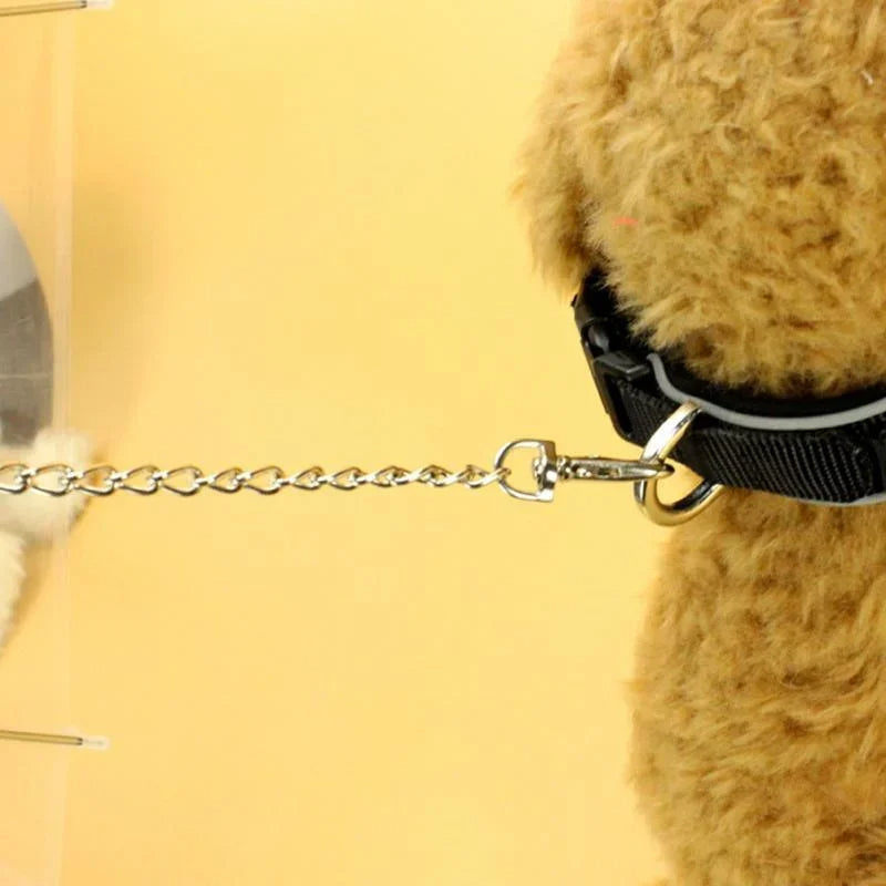 Dog Umbrella with Leash