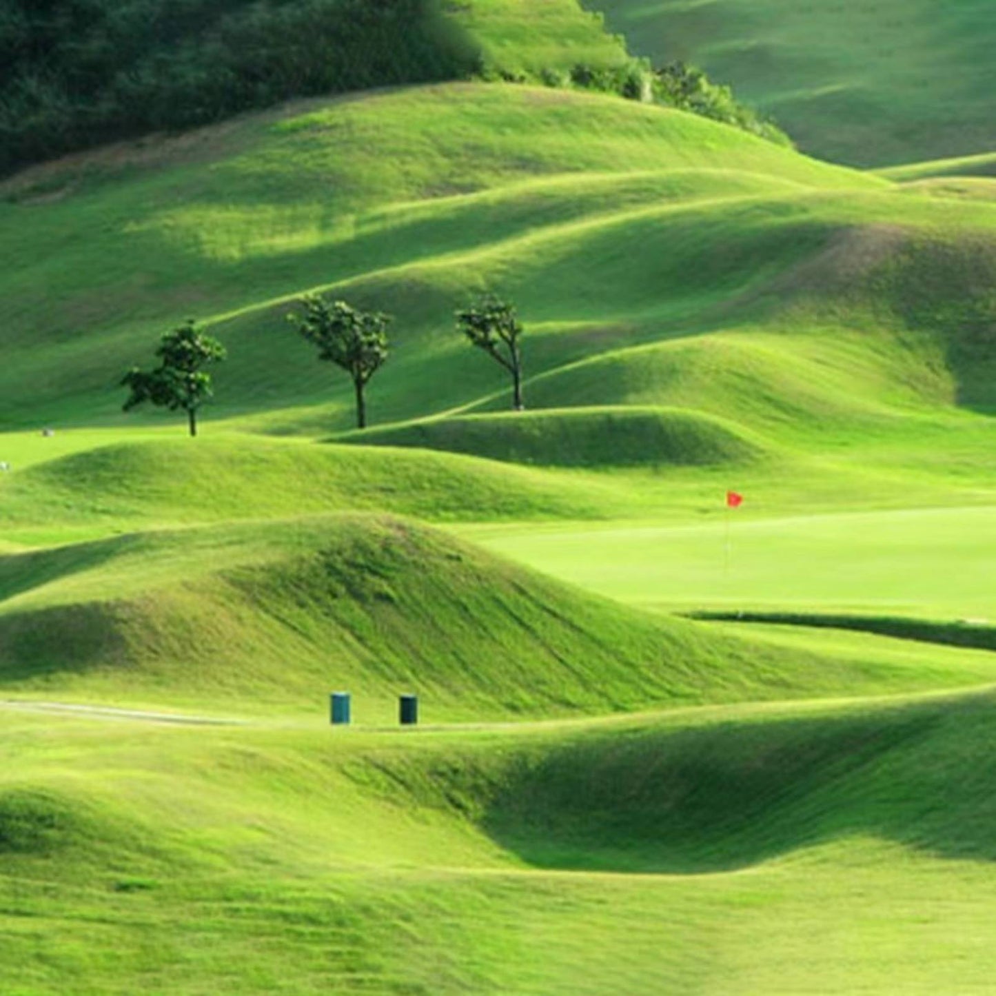 Quick Fix Green Grass Seed Mat