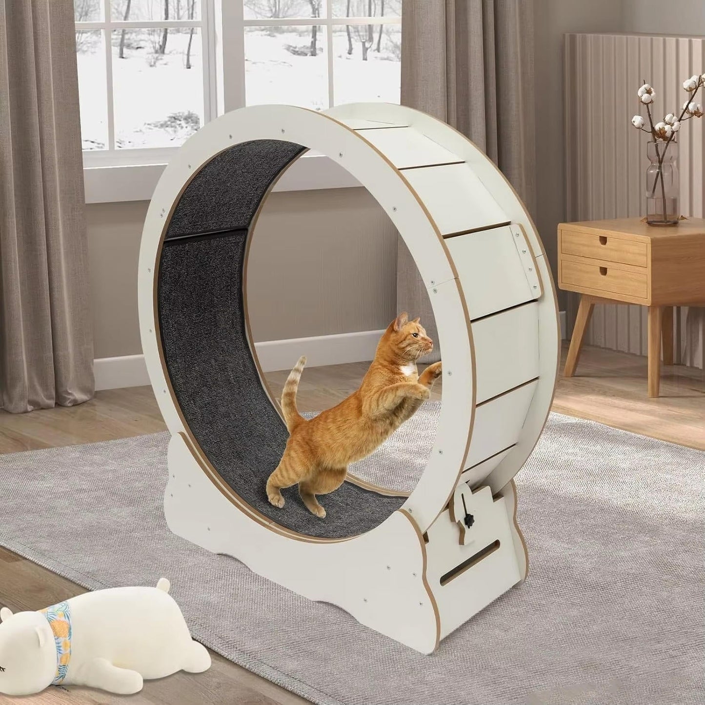Cat Exercise Wheel