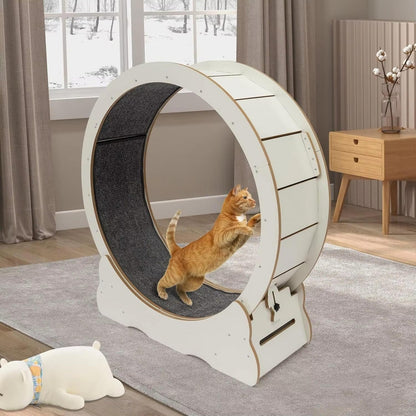 Cat Exercise Wheel