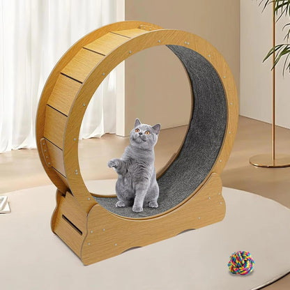 Cat Exercise Wheel