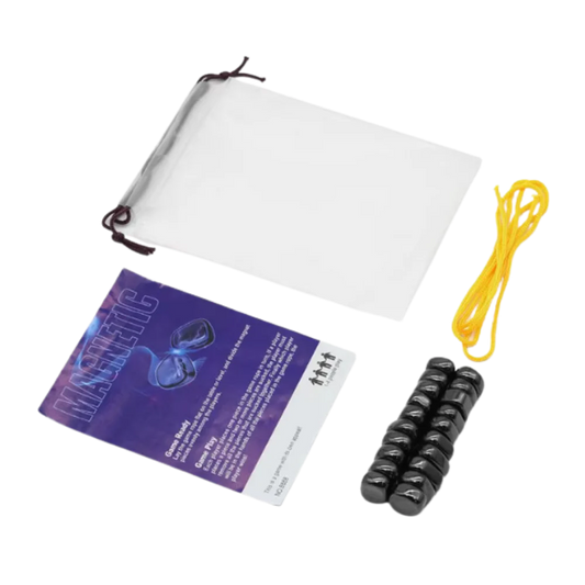 Fun & Strategic Magnetic Chess Game