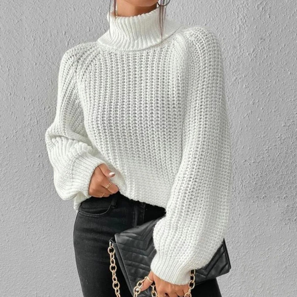 Turtleneck Sweater