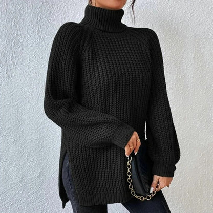 Turtleneck Sweater
