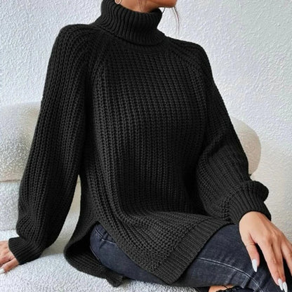 Turtleneck Sweater
