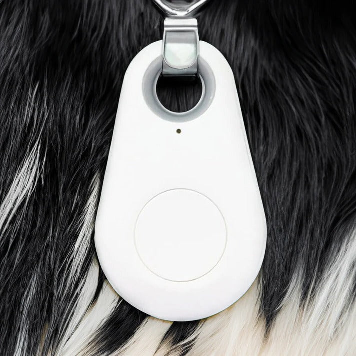 Pets Smart Waterproof GPS Tracker