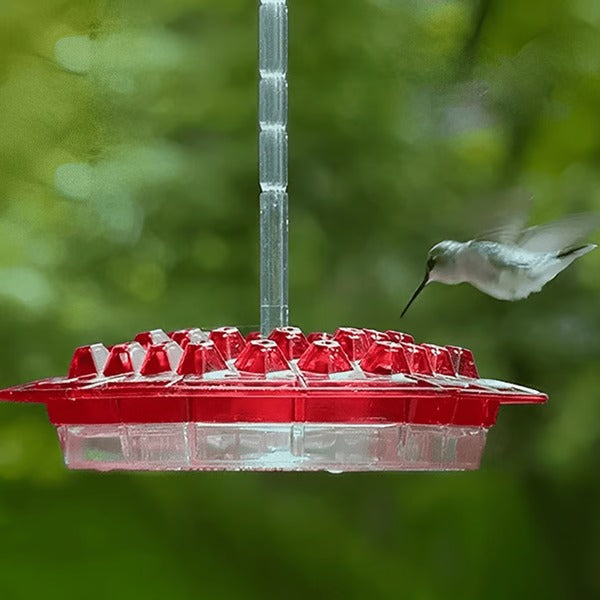 Hummingbird Feeder With Built-In Ant Moat