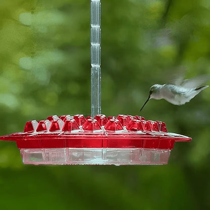 Hummingbird Feeder With Built-In Ant Moat