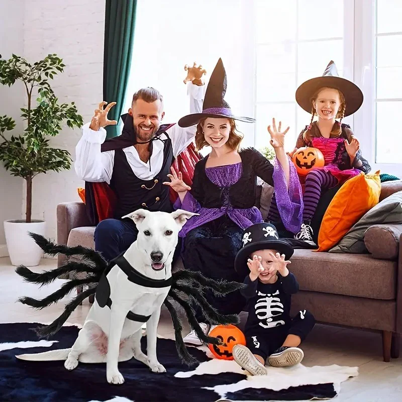 Pet Funny Spider Costume