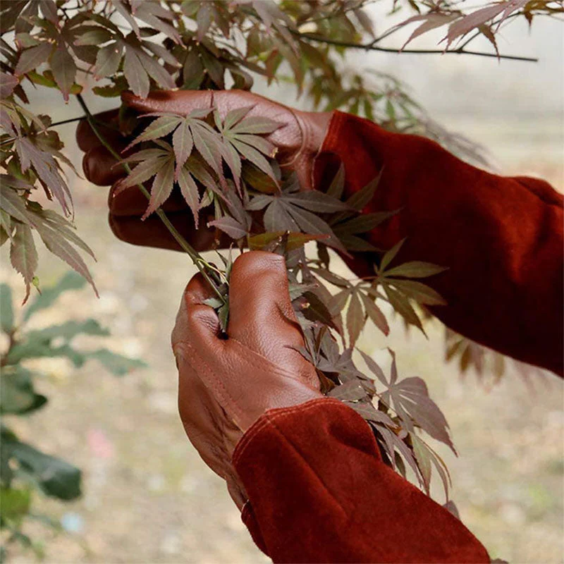 Multifunctional Garden Gloves