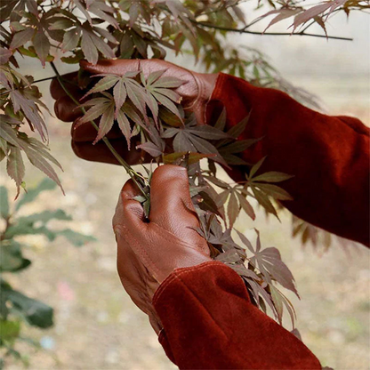 Multifunctional Garden Gloves