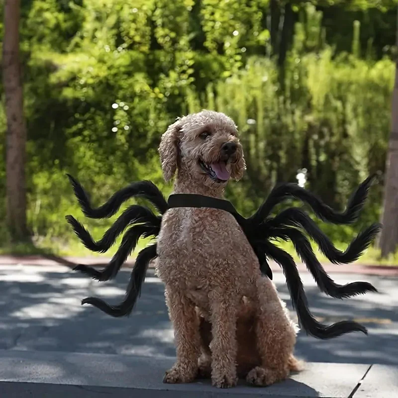 Pet Funny Spider Costume