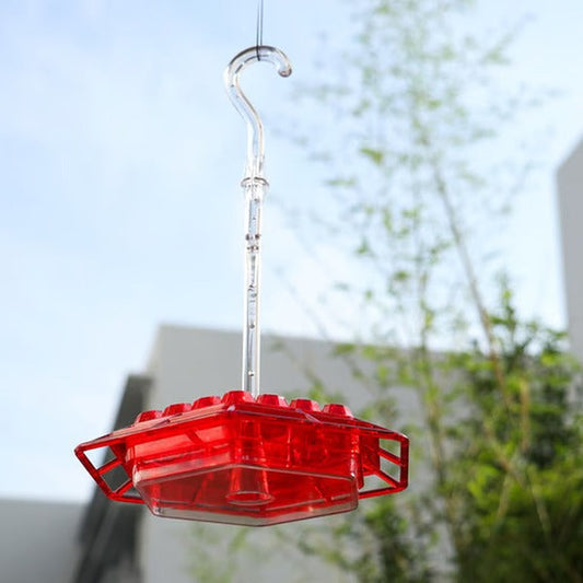 Hummingbird Feeder With Built-In Ant Moat